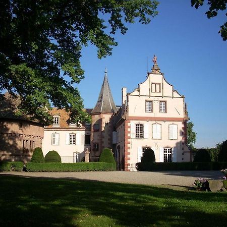 Le Chateau D'Osthoffen Kültér fotó