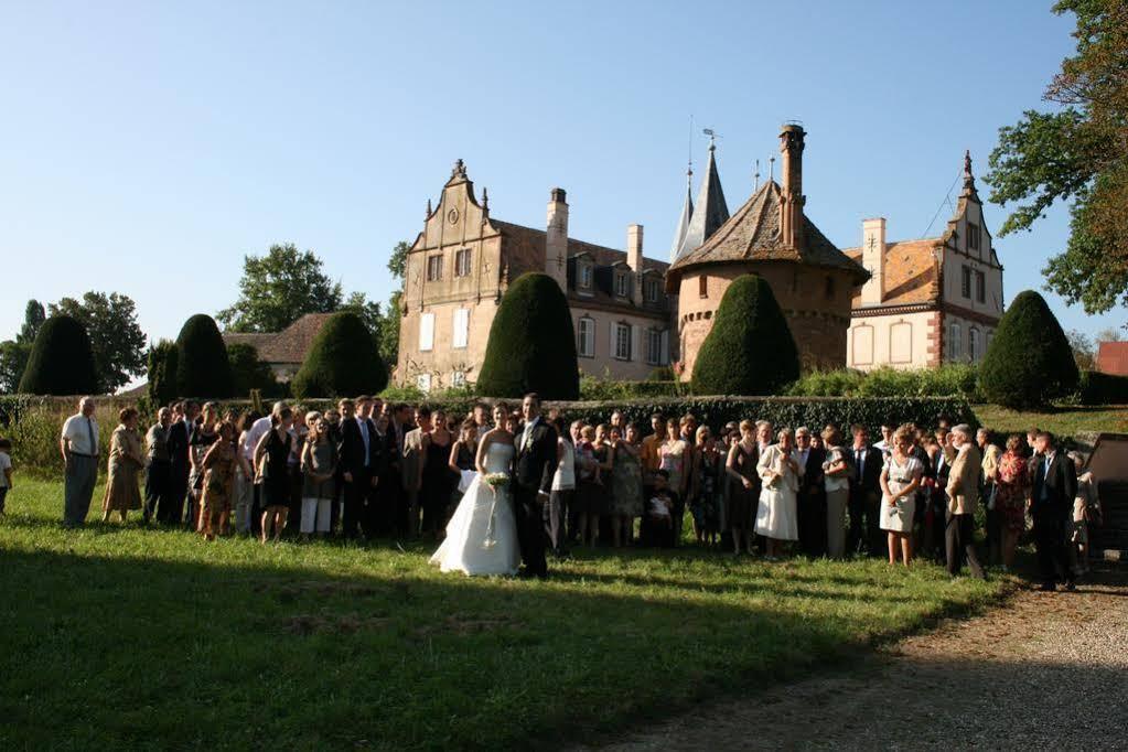 Le Chateau D'Osthoffen Kültér fotó